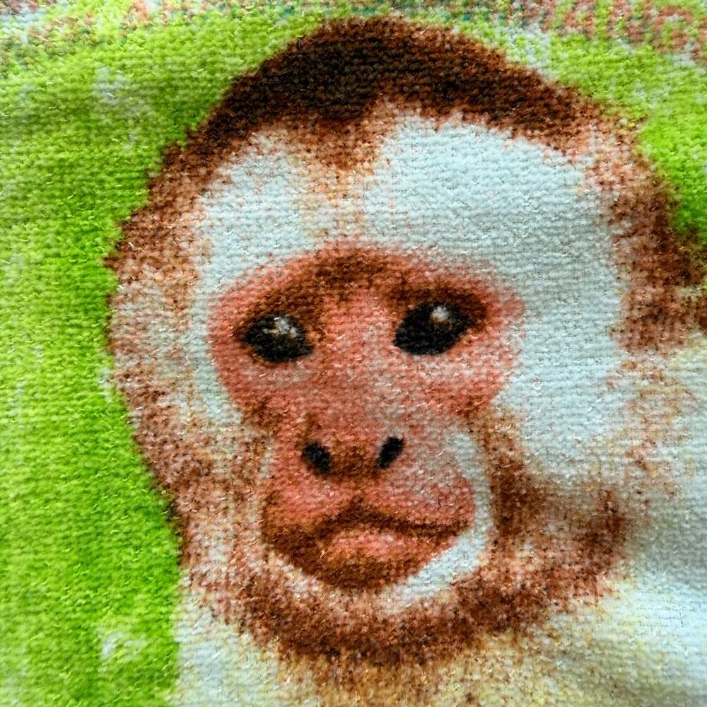 NWOT Costa Rica Monkey Beach Towel - Picture 2 of 11